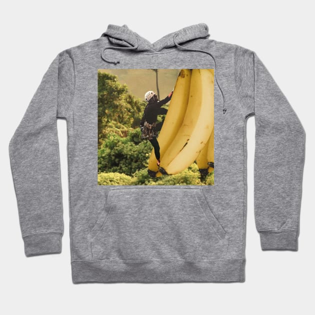 GMOs Hoodie by collagebymarianne (Marianne Strickler)